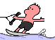 Gif animé ski nautique